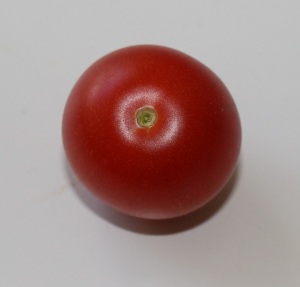 Tomat1